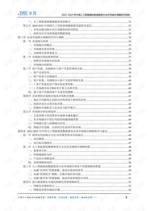 2021-2025年中國(guó)人工智能基礎(chǔ)數(shù)據(jù)服務(wù)與行業(yè)應(yīng)用系統(tǒng)集成服務(wù)市場(chǎng)細(xì)分策略研究報(bào)告